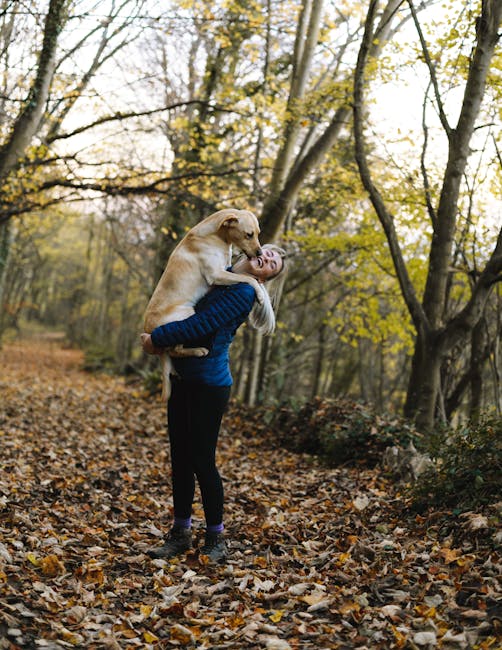 A woman joyfully embraces her dog on a foliage-covered forest trail in autumn.